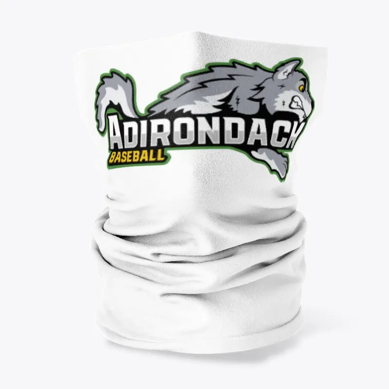 SUNY ADIRONDACK BASEBALL